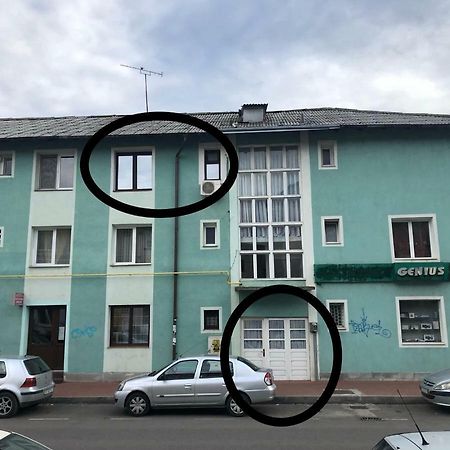 Vintage Apartment Suceava Dış mekan fotoğraf