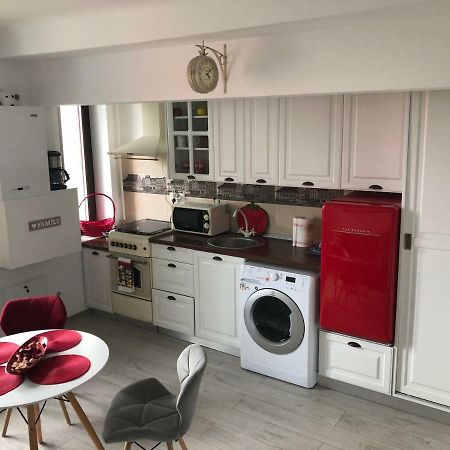 Vintage Apartment Suceava Dış mekan fotoğraf