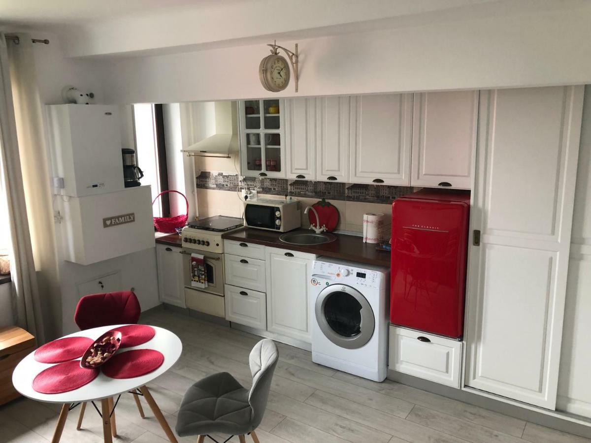 Vintage Apartment Suceava Dış mekan fotoğraf