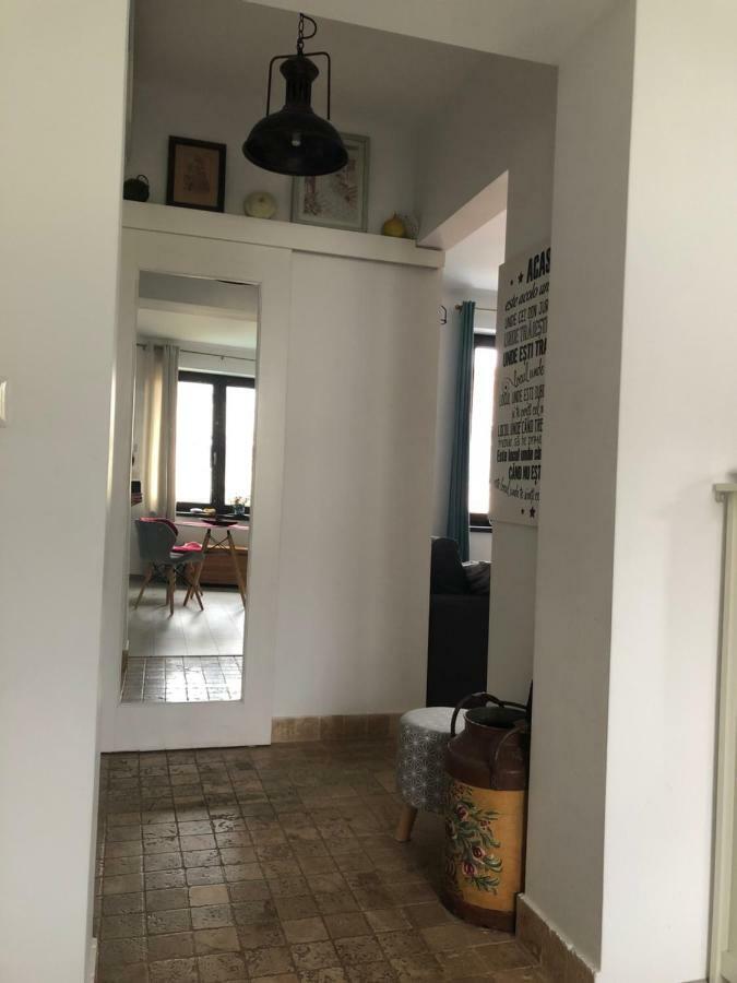Vintage Apartment Suceava Dış mekan fotoğraf