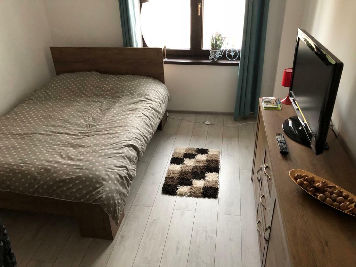 Vintage Apartment Suceava Dış mekan fotoğraf
