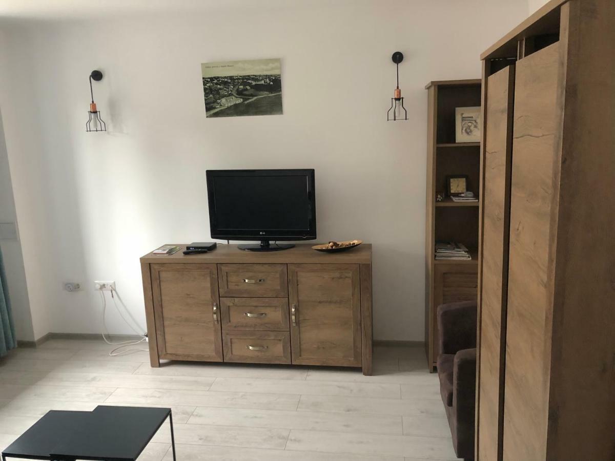 Vintage Apartment Suceava Dış mekan fotoğraf