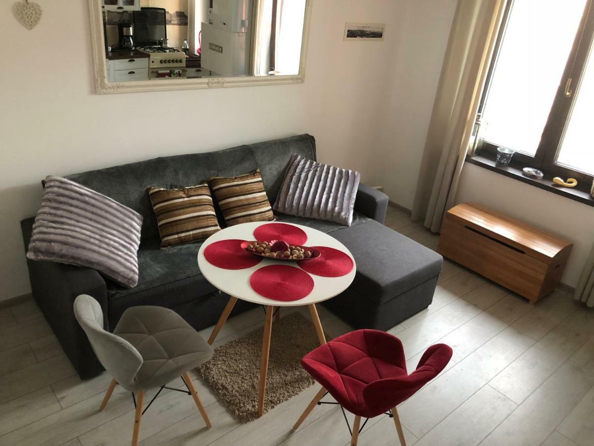 Vintage Apartment Suceava Dış mekan fotoğraf