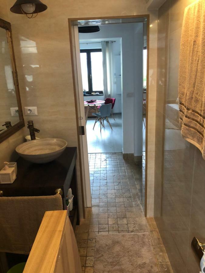 Vintage Apartment Suceava Dış mekan fotoğraf
