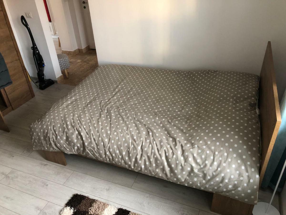 Vintage Apartment Suceava Dış mekan fotoğraf